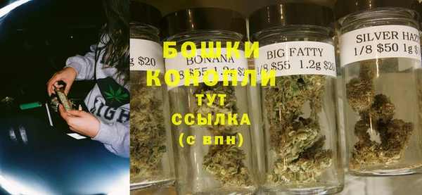 крисы Богданович