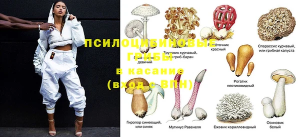 крисы Богданович