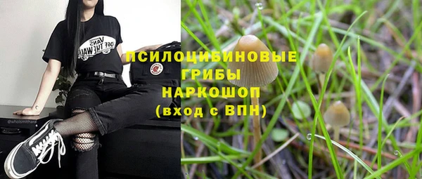 крисы Богданович